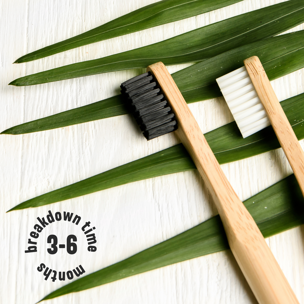 
                      
                        Bamboo Toothbrush
                      
                    
