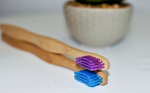 bamboo toothbrush